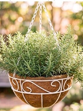 White Metal Hanging Planter Basket with Coco Liner (2 Pack, 12 Inch)